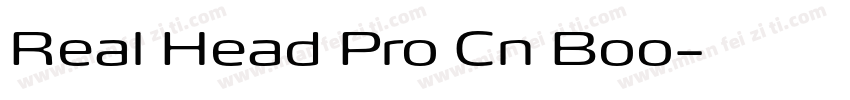Real Head Pro Cn Boo字体转换